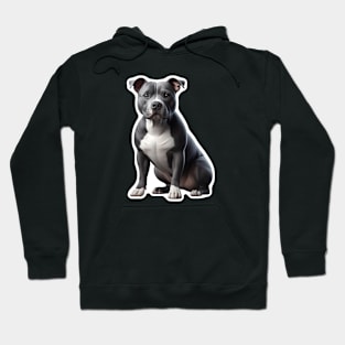 Pit Bull Hoodie